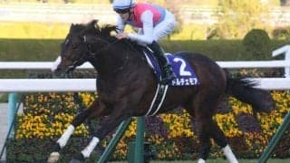 【ニュージーランドT予想】先行力、立ち回りの上手さが求められる中山マイル重賞