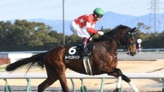 【阪神牝馬S予想】ヴィクトリアマイルへのステップレース 使用コース変更がポイントか