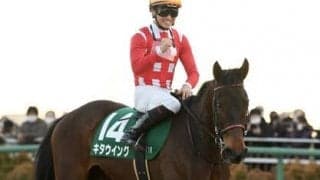 桜花賞は昨年と同じく「内、前」が有利か 人気薄の一発を期待するなら内を強襲できる世代唯一の実績馬