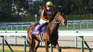 【桜花賞予想】近3年で激走馬に異変!? 気候成績がものをいうレースの穴馬候補とは