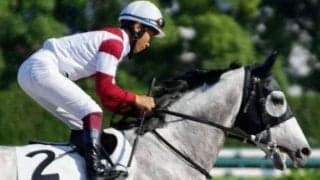 土曜阪神12Rは距離短縮＆減量起用でスカーレットジンクが一変だ