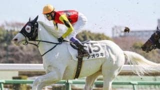 【土曜福島7R】ゴールドシップ産駒のアオラキ 雨の福島芝2600mならチャンス大