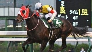 ユニコーンライオンは国内3倍台も英ブックメーカーでは13倍 クイーンエリザベスSの国内外オッズ比較