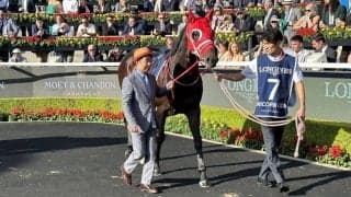 【クイーンエリザベスS】ユニコーンライオンは5着…勝利したのはドバイオナー