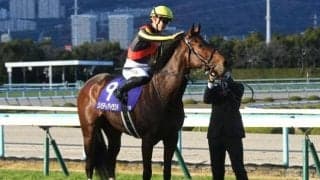 【桜花賞予想】1人気は勝ち切れない!? 上位人気馬優勢も意外に低い勝率データ