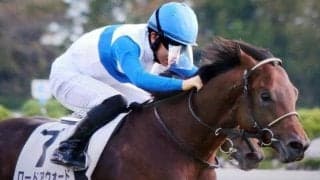 坂路で4F49.1の好時計記録 日曜阪神4Rは良血馬の一変期待