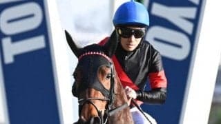 阪神芝は圧倒的にイン有利 桜花賞で浮上するのは