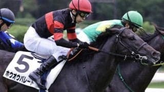 初の右回りで一変期待 日曜中山8Rは両親ともにGI勝ちの良血馬を狙う