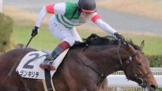 【日曜阪神7R予想】初芝の前走で2位タイの上がり33.6 適性感じる走りでアタマまで