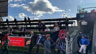 【クイーンエリザベスS】矢作師「外枠が痛かった」ユニコーンライオンは5着