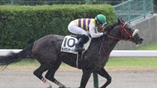 セイウンオードリーが予後不良 中山8Rで競走中止