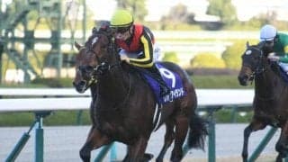 【桜花賞予想】牝馬クラシック第1戦 スピードと瞬発力が勝負のカギ握る