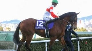 ＧＩ馬の兄にも勝る能力秘めるダノンタッチダウン 距離延長の皐月賞でも自慢の末脚が炸裂するか