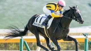 【桜花賞予想】圧倒的に強いのは2番人気？ 前走チューリップ賞組優勢は過去のものに？