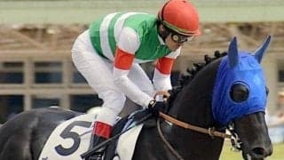 【日曜中山12R予想】前走は前半3F34.4でも大バテせず 舞台替わりもプラスで期待十分