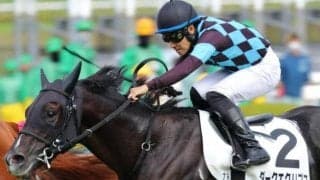 【競馬法100周年記念予想】阪神芝2000mで“出走していれば迷わず買いの種牡馬 ” 牡馬・セン馬なら複勝率55％！