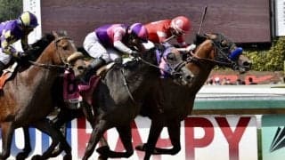 【サンタアニタダービー】木村和「勝ったのかなと思いましたが…」地方から初参戦のマンダリンヒーローは僅差の2着