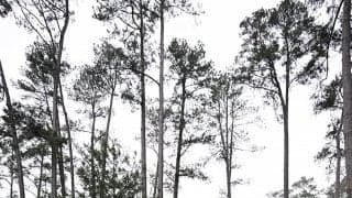 一夜でふさがったオーガスタの大穴 “現場”目撃の比嘉一貴「何もなかったかのように…」