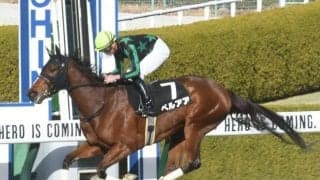 【船橋・マリーンC枠順確定】ペルアアは8枠11番、チェイスザドリームは6枠8番