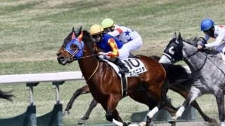 【阪神6R】古川奈穂騎乗 エバニスタが抜け出す