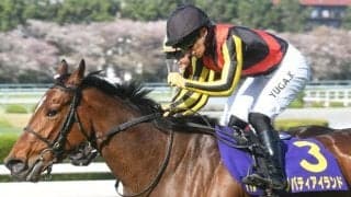 【JRA・WIN5】本日のWIN5は的中1041票、配当49万5340円