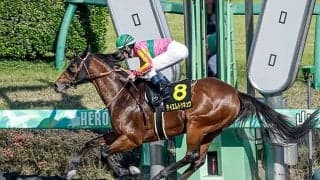 【京葉S結果】テイエムトッキュウが危なげなく逃げ切りオープン初V