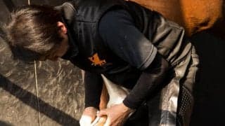 【装蹄師・西内荘コラム】装蹄競技会開催、コロナ禍も元に戻りつつ…