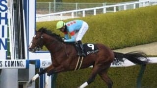 【アンタレスS】プロミストウォリア、ロードブレスらが登録