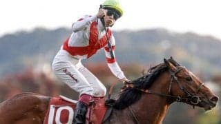 【アーリントンC】オオバンブルマイ、ショーモンらが登録