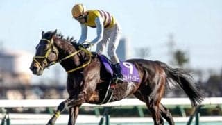 【中山GJ】ニシノデイジー、ミッキーメテオらが登録