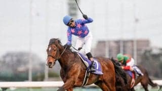 金子光希騎手がJRA障害通算1000回騎乗達成「復帰できたことは奇跡に近いと思っています」