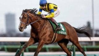 混戦模様の皐月賞 障害GIの中山グランドジャンプなど/今週の競馬界の見どころ