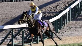 【中山GJ】ニシノデイジーなど11頭