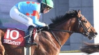 【アンタレスS見どころ】4連勝中のプロミストウォリアが中心