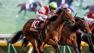 【アーリントンC見どころ】オオバンブルマイが重賞2勝目を狙う