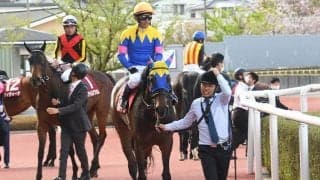【阪神牝馬S】売上は33億9494万6900円で昨年より約13億円増加