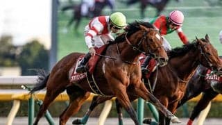 【アーリントンC想定騎手】オオバンブルマイは武豊騎手、ユリーシャは松山弘平騎手