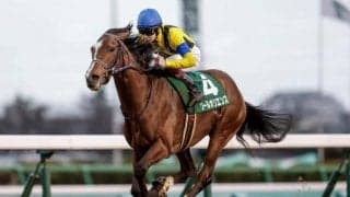 【皐月賞枠順確定】ファントムシーフは4枠7番、ソールオリエンスは1枠1番