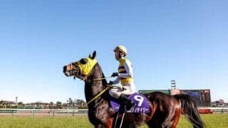 【中山グランドジャンプ出走馬・騎手確定】ニシノデイジー＆石神深一騎手、ミッキーメテオ＆五十嵐雄祐騎手など10頭