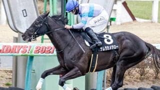 20年佐賀記念の覇者ナムラカメタローが登録抹消 園田競馬に移籍へ