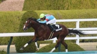 【アンタレスS出走馬・騎手確定】プロミストウォリア＆鮫島克駿騎手、サンライズホープ＆幸英明騎手など15頭