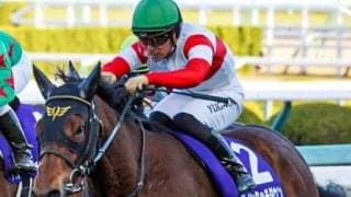 “キタサンブラック超え”なるか クラシック最高馬体重Vへ皐月賞に大型馬2頭参戦