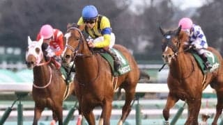 【皐月賞】出走馬の調教後の馬体重