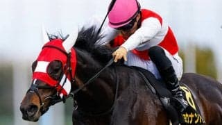 2.6億円馬に2.4億円馬 皐月賞で“史上最高額のGIウイナー”は生まれるか