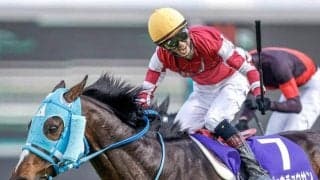 オジュウチョウサン不在の中山GJは8年ぶり 名ジャンパーの誕生に期待