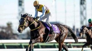 【中山グランドJ枠順確定】ニシノデイジーは3枠3番、ミッキーメテオは8枠10番