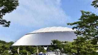 否定意見なんの！西武「ロン毛」コンビが野球界の固定観念打破へ快投連発