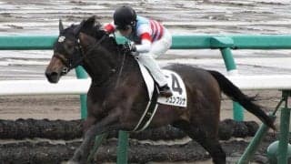 山藤賞は道悪巧者の再現期待 距離延長も不安なし！