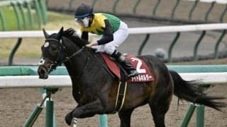 史上6頭目の連覇狙うタイトルホルダーなど 天皇賞(春)出走想定馬18頭