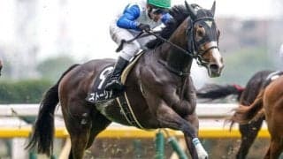 前走重賞で2着のストーリアなど 福島牝馬S出走想定馬16頭